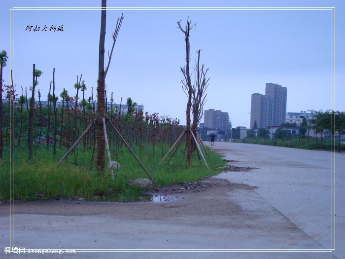 DSC02646.jpg