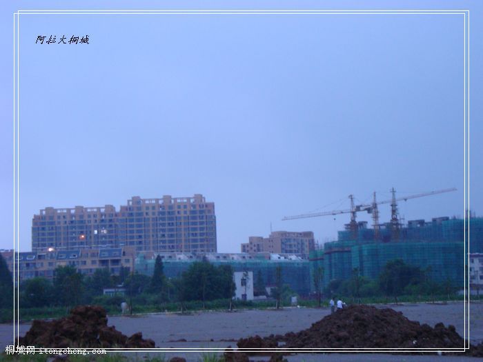 DSC02648.jpg