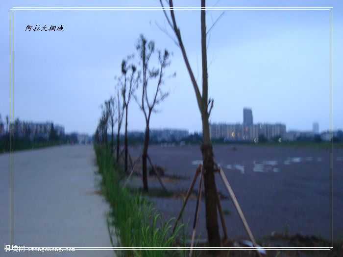DSC02658.jpg