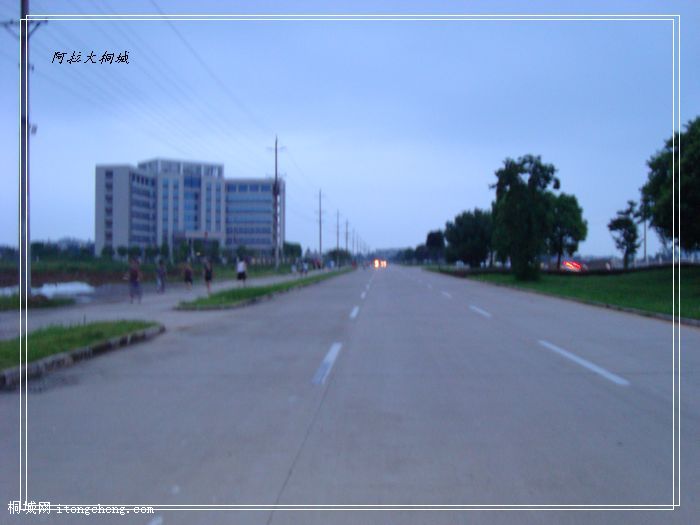 DSC02657.jpg