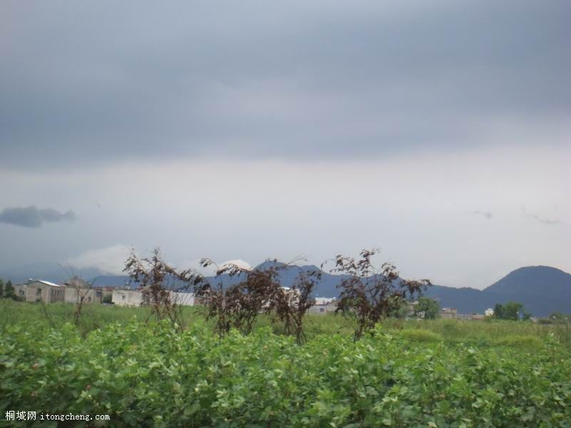06.jpg