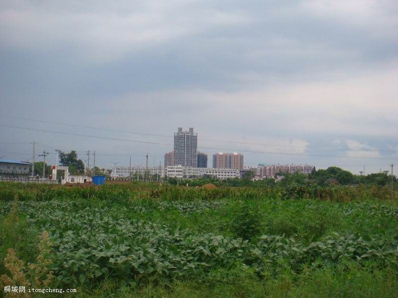 02.jpg
