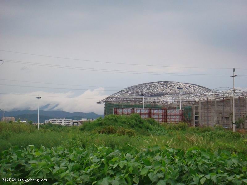 01.jpg