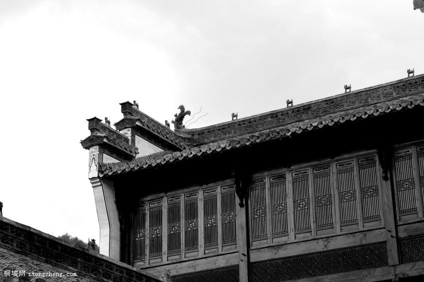 IMG_0418_conew1.jpg
