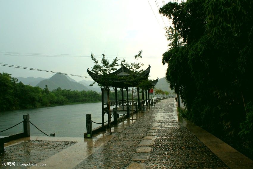 IMG_0468_conew1.jpg