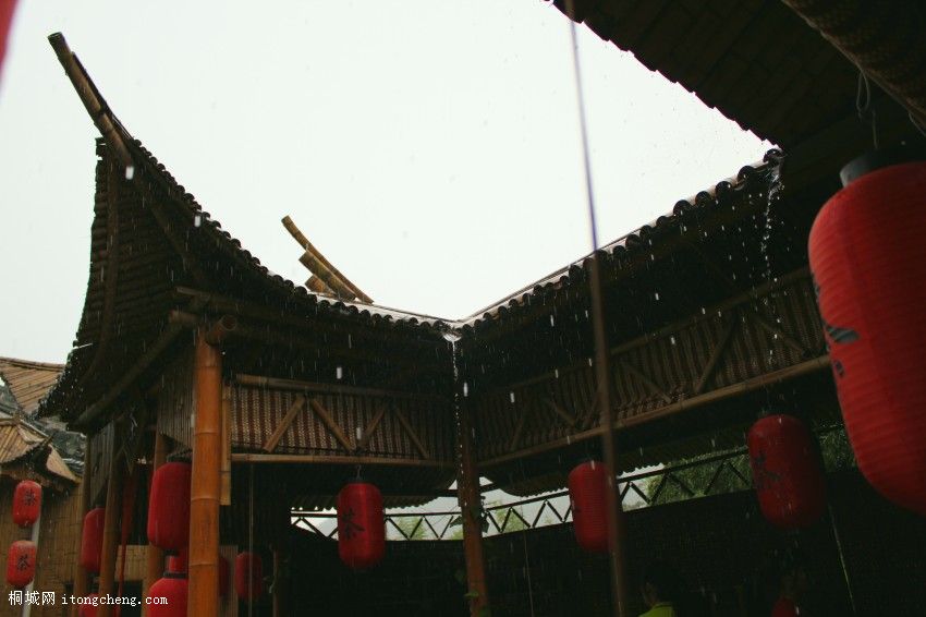 IMG_0466_conew1.jpg