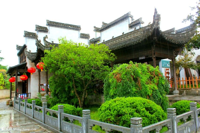 IMG_0477_conew1.jpg