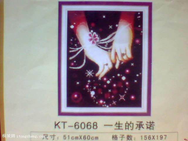 ͼƬ 009.jpg