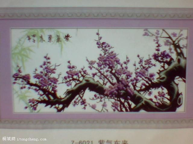 ͼƬ 012.jpg