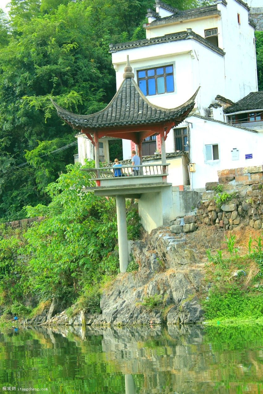 IMG_0660_conew1.jpg