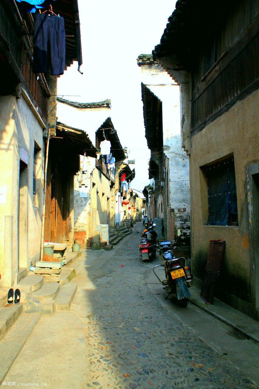 IMG_0665_conew1.jpg
