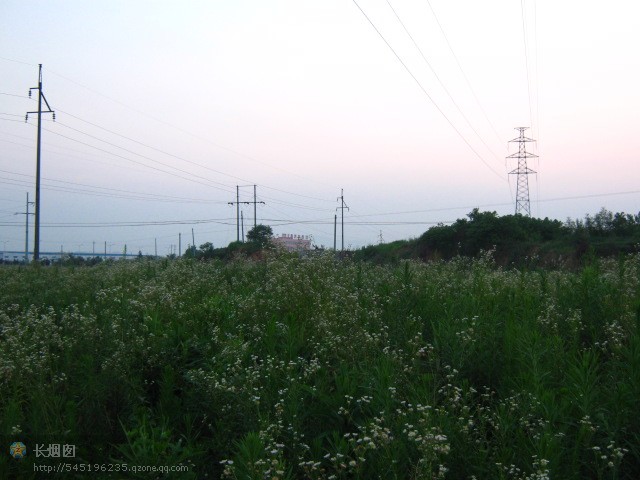 111.jpg