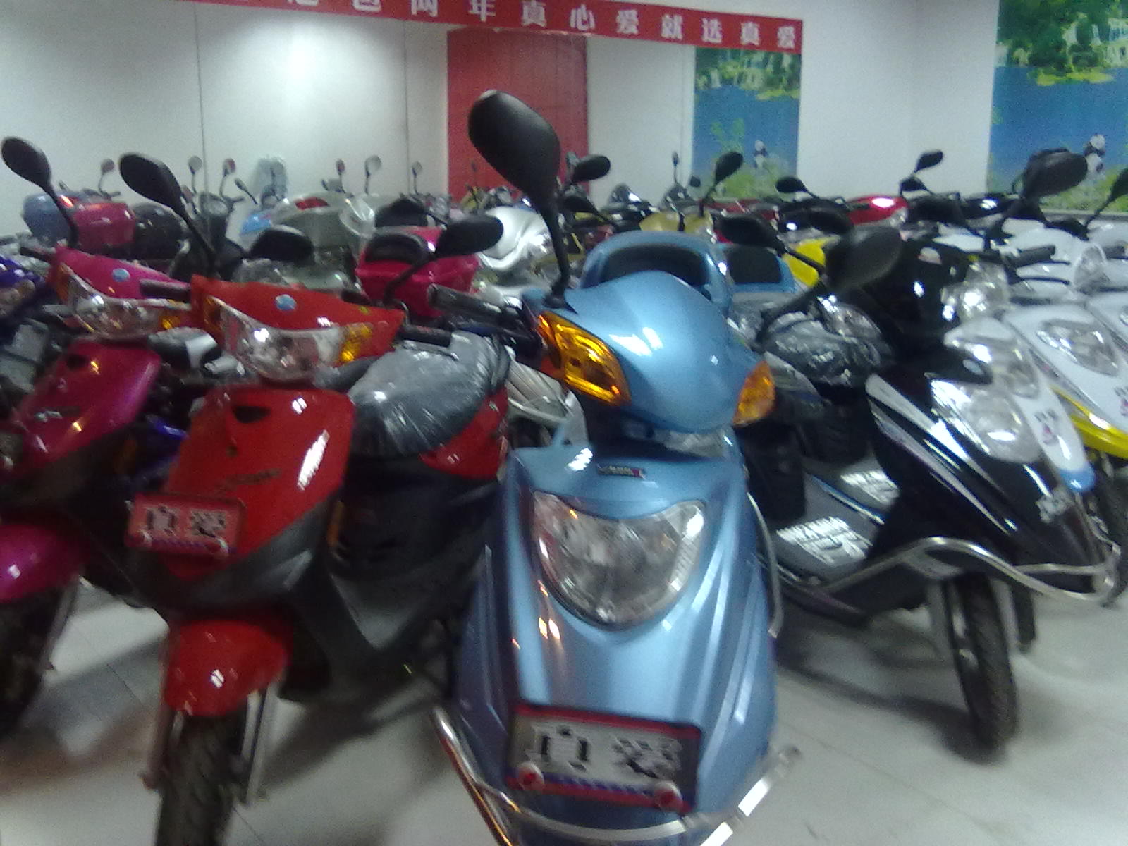 20100817046.jpg