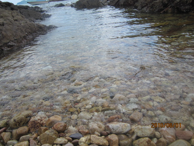 IMG_0617.JPG