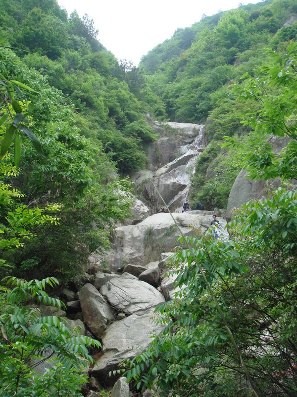 DSC00193.jpg