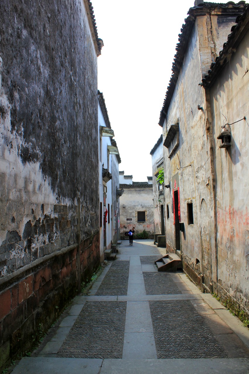 IMG_0594_conew1.jpg