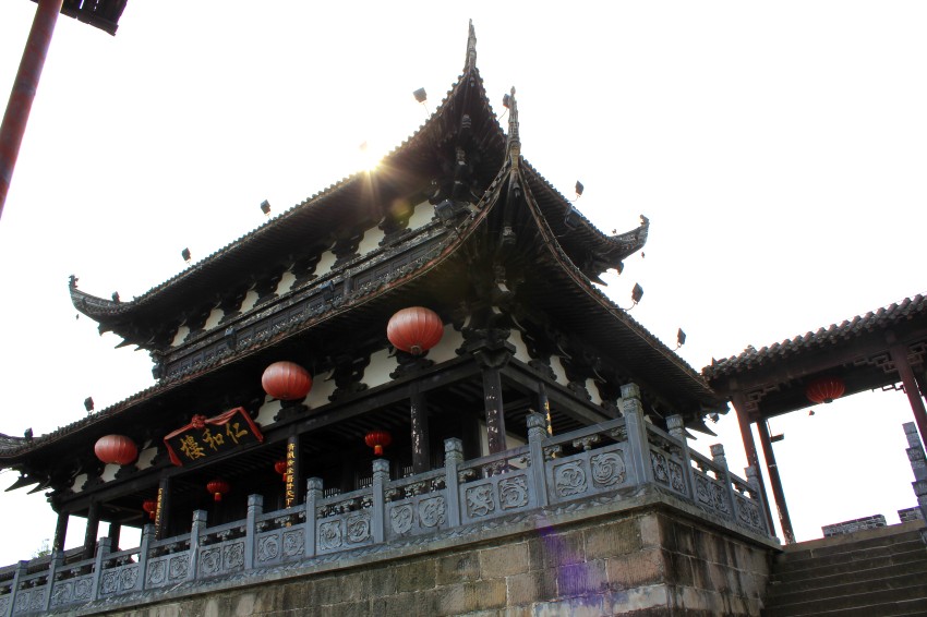 IMG_0615_conew1.jpg