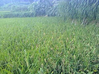 IMG0913172900.jpg