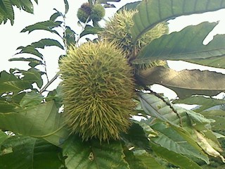 IMG0913165801.jpg