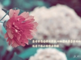 ˡԱɾлл
