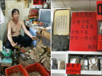 (̨ϵ8)��֥רҵ������