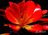 ,F,仨޺ƻ,,ʹ˸B!
