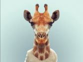 ǵ֤