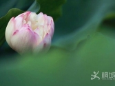 һĺɻ~~~