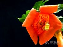 滨ؼ----ػ